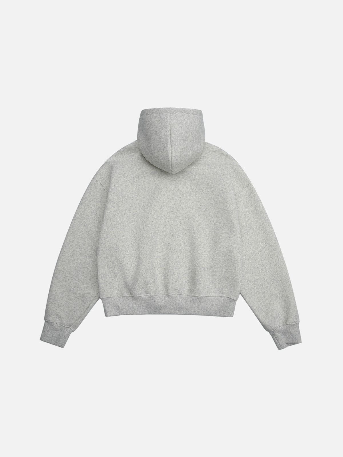 Solid Pullover Boxy Hoodie Light Grey - Aelfric Eden