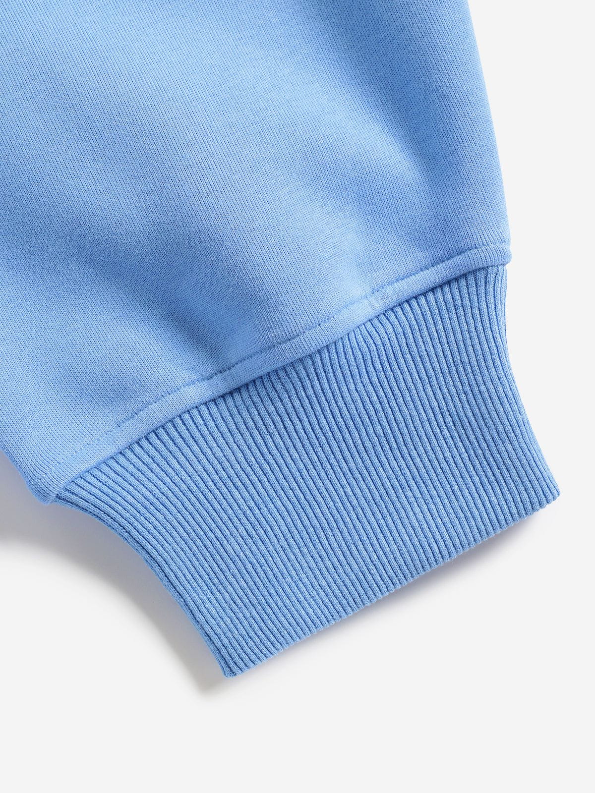 Oversized Duck Pullover Hoodie Blue - Aelfric Eden