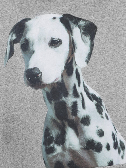 Dalmatian Graphic Pullover Hoodie Grey - Aelfric Eden