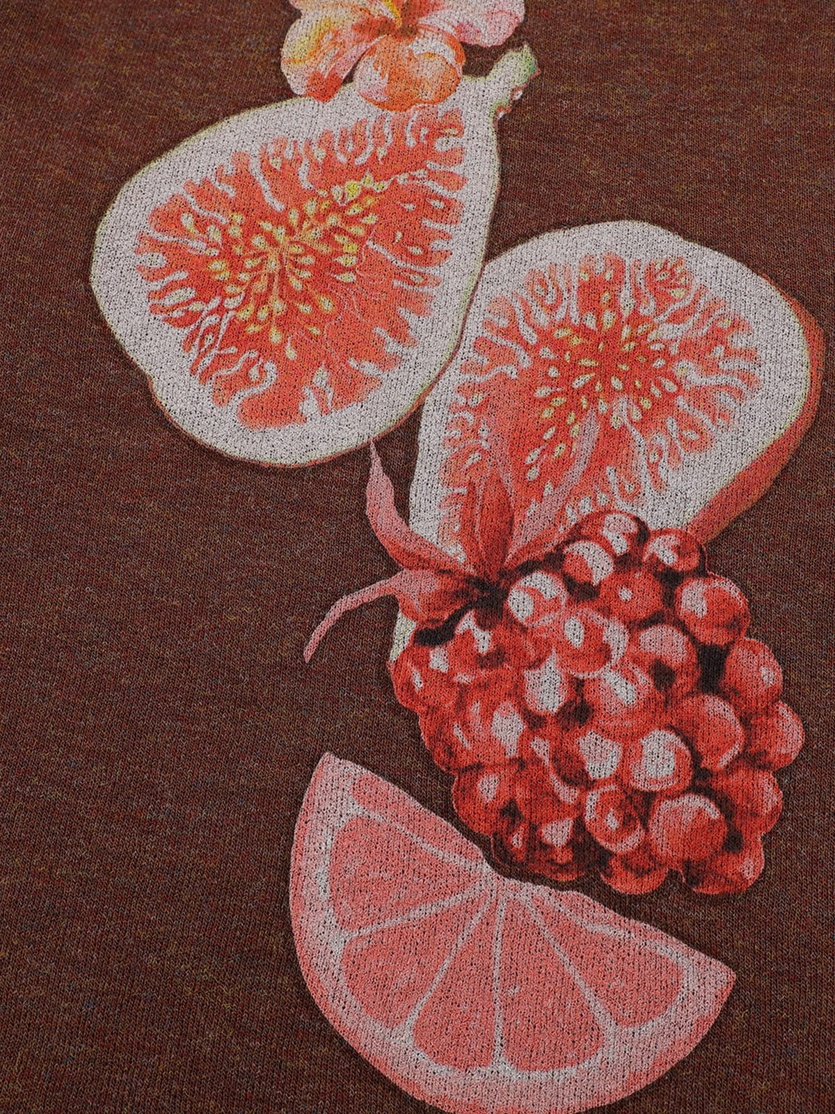 Fruit Graphic Sweatshirt Brown - Aelfric Eden