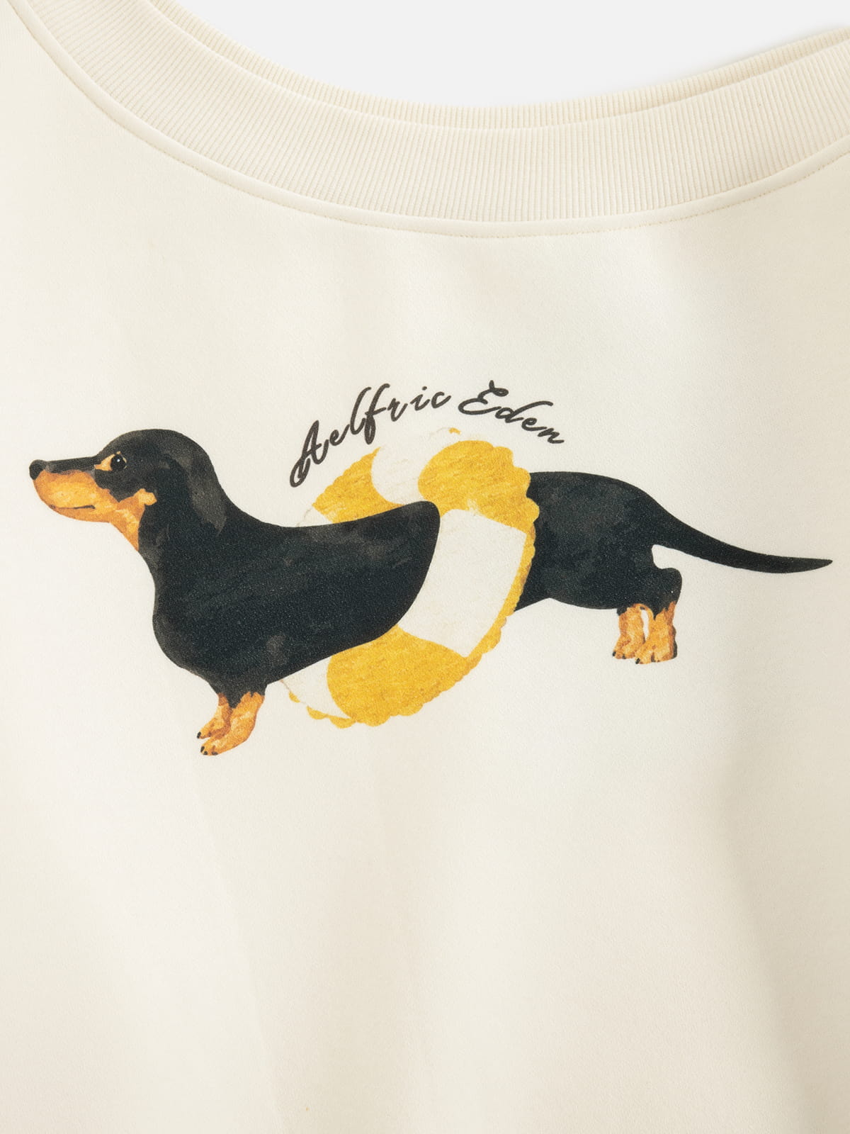 Dachshund Off-The-Shoulder Sweatshirt Apricot - Aelfric Eden