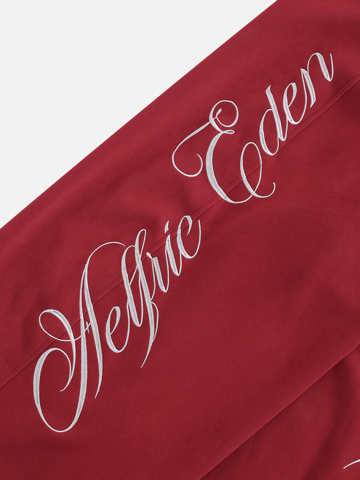 Boxy Script Embroidery Hoodie Sets Red - Aelfric Eden