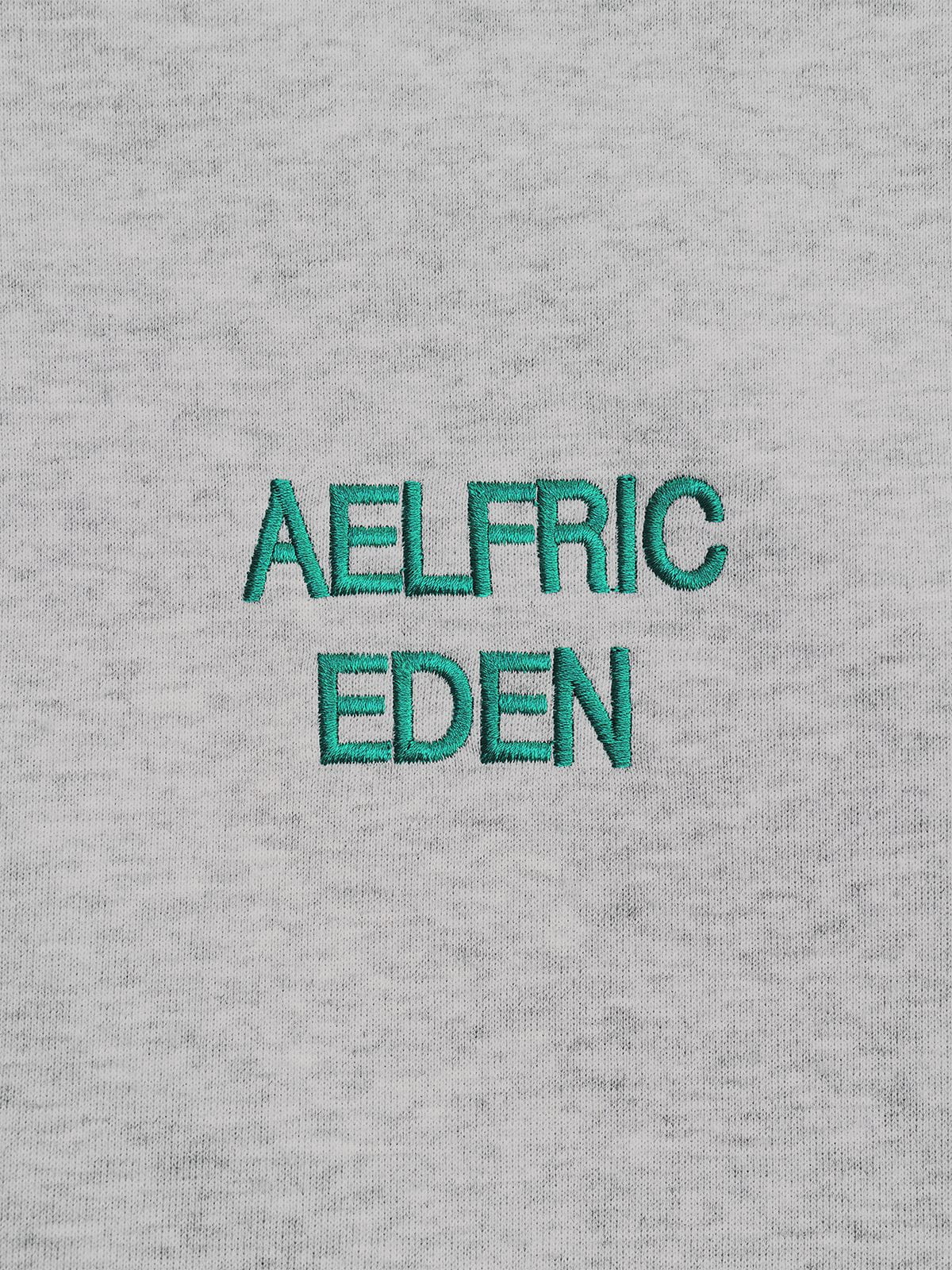 Boxy Graphic Zip Up Hoodie Grey - Aelfric Eden