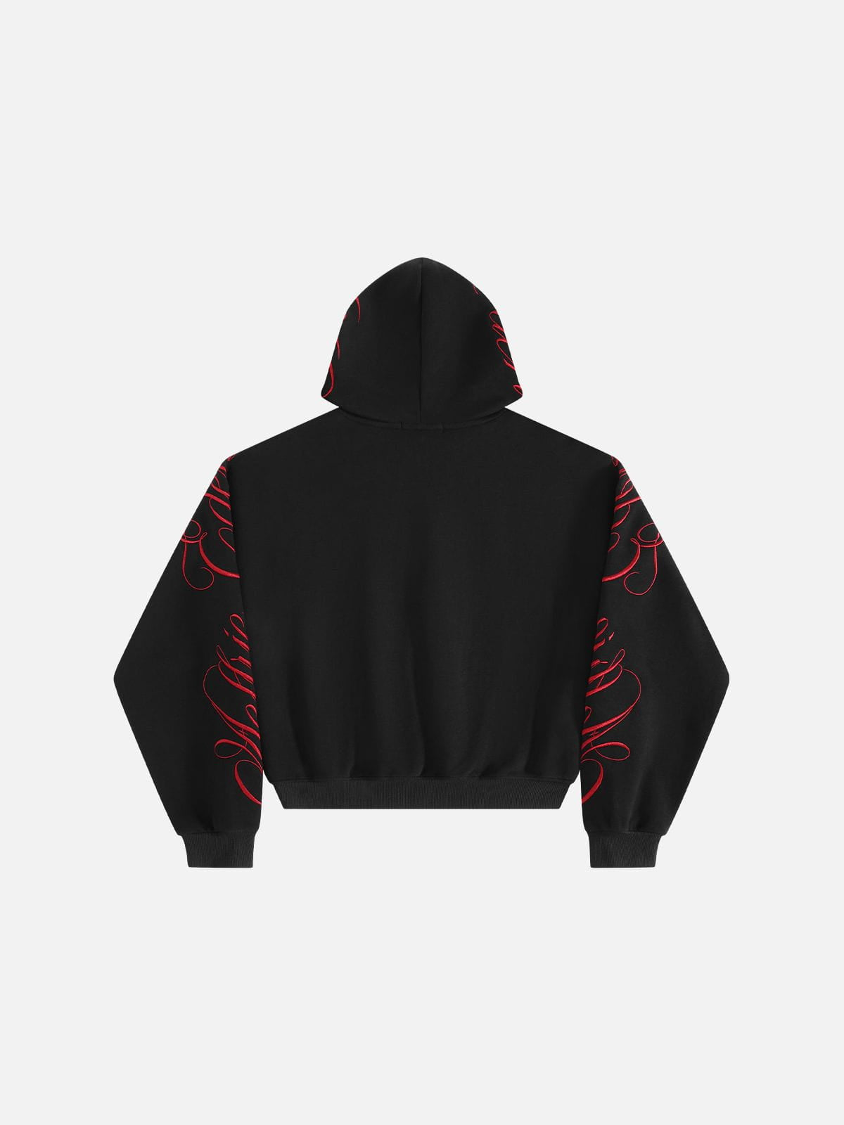 Boxy Script Embroidery Pullover Hoodie Black - Aelfric Eden